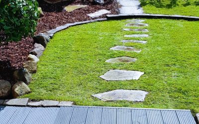 Small garden with decking landscaping project