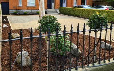 Front garden and driveway design in Terenure